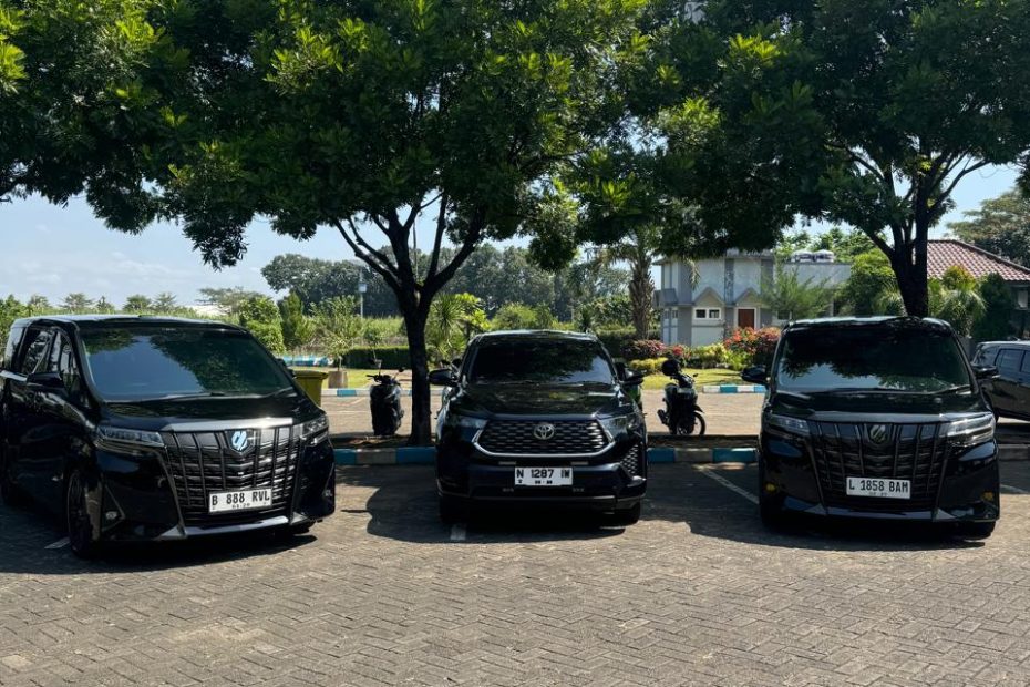 Performa Alphard