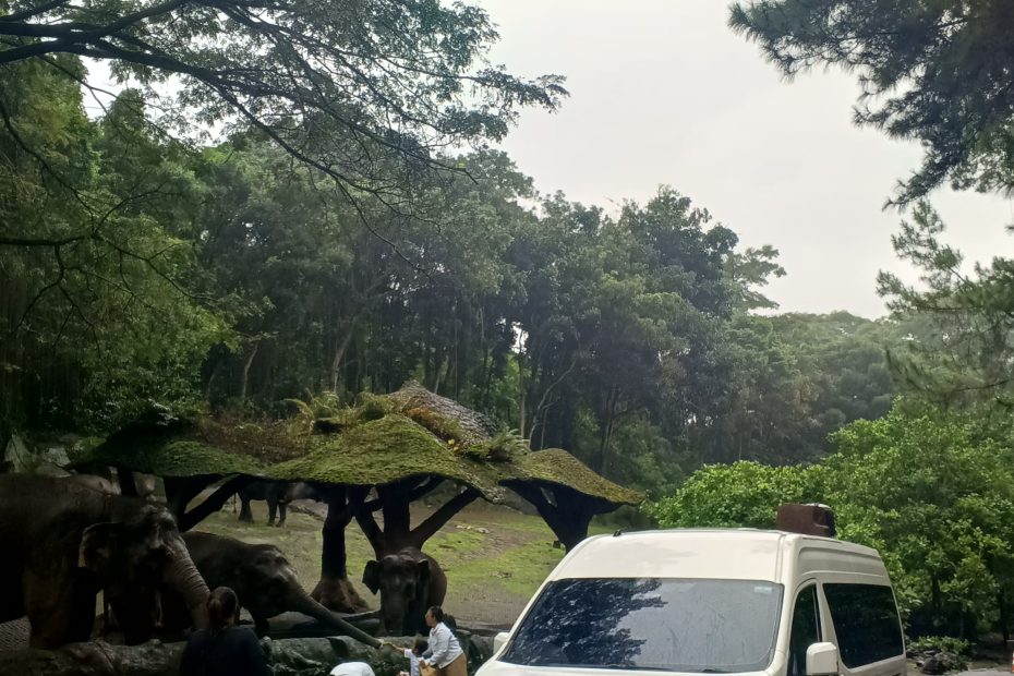 Alasan HiAce Premio