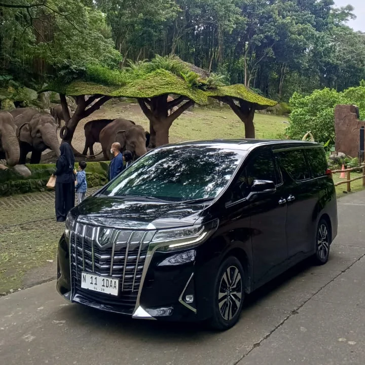 Sewa Alphard Harian