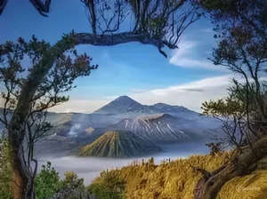 Spot Wisata di Bromo