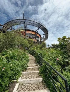 Wisata Hillside Bromo