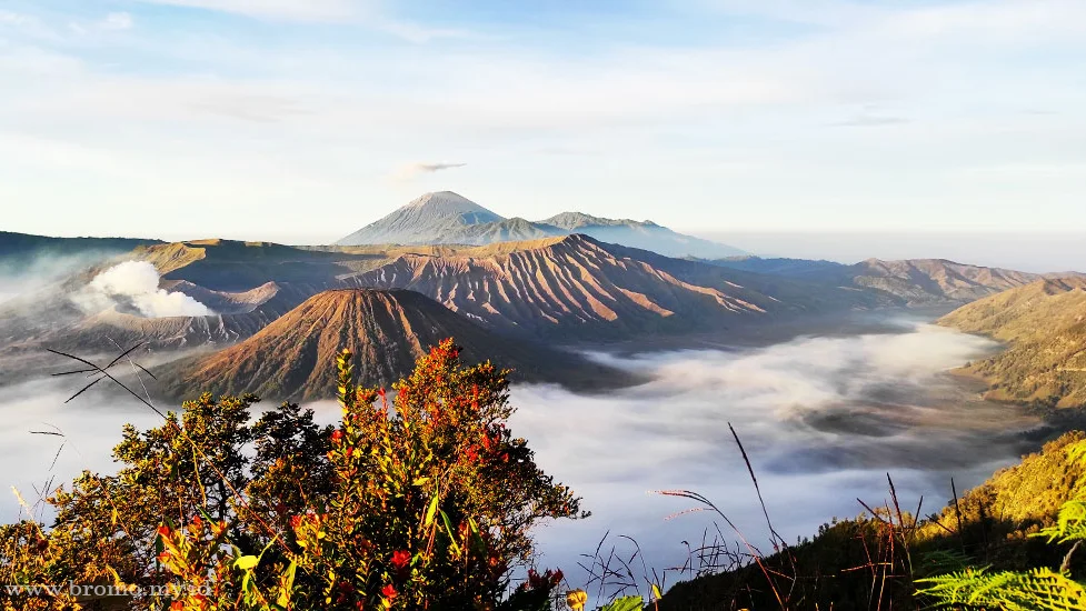Spot Wisata di Bromo