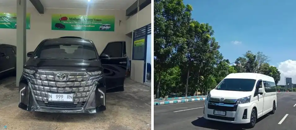 Alphard vs Hiace Luxury